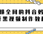 火爆全网的抖音“蚂蚁牙黑”视频制作教程,附软件【视频教程】-最全资源库