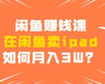 闲鱼赚钱课:在闲鱼卖ipad,如何月入3W?详细操作教程-最全资源库