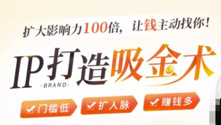 IP打造吸金术:0基础0资源,也能扩大影响力100倍,让钱主动找你!-最全资源库