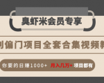 暴利偏门项目全套合集视频教程：你要的日赚1000+月入几万+项目都有-最全资源库