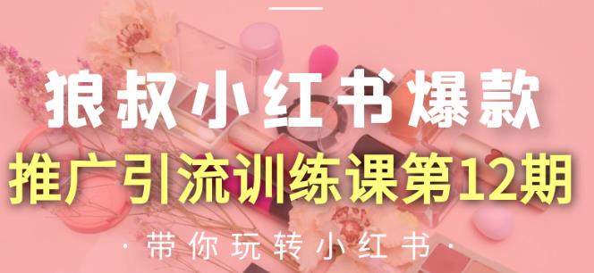 狼叔小红书爆款推广引流训练课第12期，手把手带你玩转小红书-最全资源库