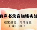 有声书录音赚钱实战:在家录音,动动嘴皮,日赚1000+!-最全资源库