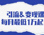 引流&变现课:分享一整套流量方法以及各个渠道收入,每月最低1万起!-最全资源库