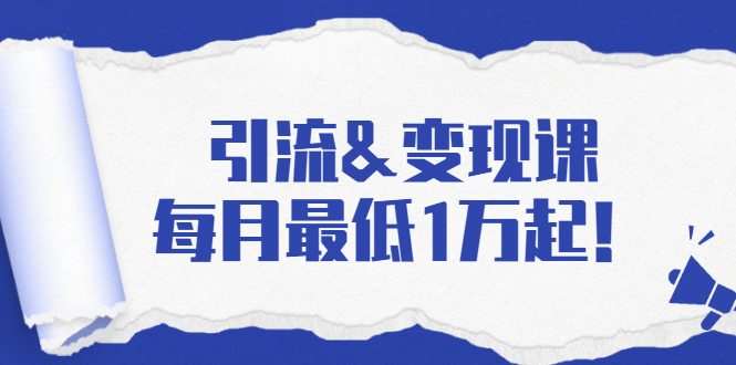 引流&变现课：分享一整套流量方法以及各个渠道收入，每月最低1万起！-最全资源库