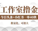 工作室撸金二件套:撸今日头条原创收益+小红书一单利润40块项目-最全资源库