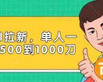 Paypal拉新赚美刀项目,单人一天利润500-1000刀【视频课程】-最全资源库