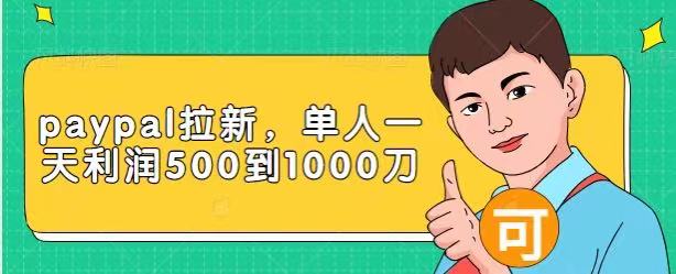 Paypal拉新赚美刀项目,单人一天利润500-1000刀【视频课程】-最全资源库