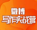 村西边老王·微博超级写作实战营,帮助你粉丝猛涨价值999元-最全资源库