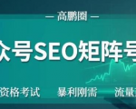 高鹏圈公众号SEO矩阵号群,实操20天纯收益25000+,普通人都能做-最全资源库