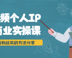 短视频个人IP商业实操课，百万粉丝实战方法分享，小白也能实现流量变现-最全资源库