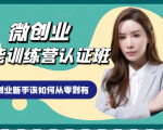 微创业全能训练营认证班课程,从理论知识与实际案例手把手指导创业新手如何从零到有-最全资源库