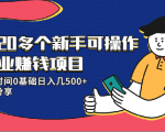 20多个新手可操作的副业赚钱项目：业余时间0基础日入几500+实操分享-最全资源库
