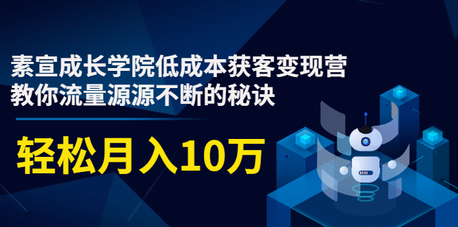 素宣成长学院低成本获客变现营,教你流量源源不断的秘诀,轻松月入10万-最全资源库
