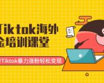 最新Tiktok海外掘金培训课堂:带你玩转Tiktok暴力涨粉轻松变现-最全资源库