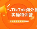 TikTok海外掘金实操特训营:手把手教运营变现赚钱-最全资源库