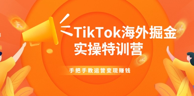 TikTok海外掘金实操特训营：手把手教运营变现赚钱-最全资源库