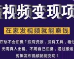 在家也能操作的短视频赚钱项目,无需真人,不用拍摄,纯搬运月入2到5万-最全资源库