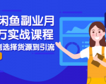 2021闲鱼副业月入过万实战课程：从开店到选择货源到引流，全程实战教学-最全资源库