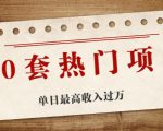 30套热门项目:单日最高收入过万 (网赚项目、朋友圈、涨粉套路、抖音、快手)等-最全资源库