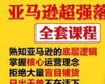 亚马逊超强落地实操全案课程:拒绝大量盲目铺货,日出千单不在话下-最全资源库