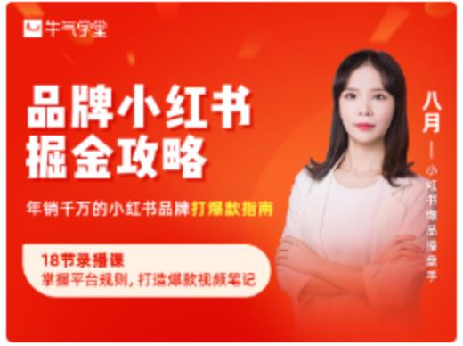 品牌小红书掘金攻略，年销千万的小红书品牌打爆款指南-最全资源库