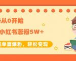 生财小红书涨粉变现:新账号从0开始3个月小红书涨粉5W+实现单篇爆粉-最全资源库