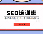 SEO培训班课程，手把手教你做出一个权重6的例站，价值8000元-最全资源库