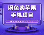 闲鱼卖苹果手机项目,教你闲鱼卖货月入上万-最全资源库