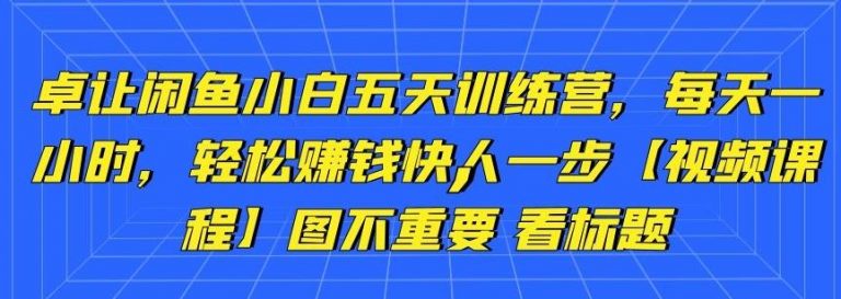 卓让闲鱼小白五天训练营，每天一小时，轻松赚钱快人一步-最全资源库