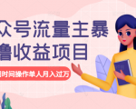 公众号流量主暴利撸收益项目,空闲时间操作单人月入过万-最全资源库