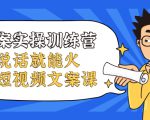 文案实操训练营，只说话就能火的短视频文案课-最全资源库