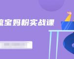 百度贴吧引流宝妈粉实战课，小白也可以日引100+精准粉-最全资源库
