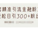 1套精准引流金融粉方法,轻松日引300+粉丝-最全资源库