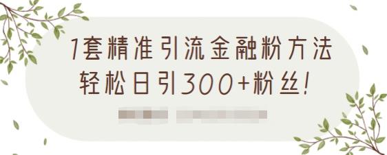 1套精准引流金融粉方法，轻松日引300+粉丝-最全资源库