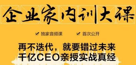 企业家内训大课,未来企业必学经验,价值1299元-最全资源库