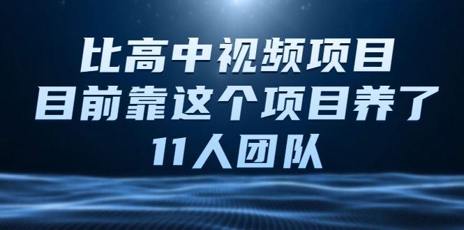 比高中视频项目,目前靠这个项目养了11人团队【视频课程】-最全资源库