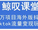 鲸叹号·海外TIKTOK训练营，百万项目海外版抖音tiktok流量变现玩法-最全资源库