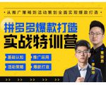 玺承云·拼多多爆款打造实战特训营,一套从入门到高手课程,让你快速拿捏拼多多-最全资源库