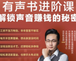有声书进阶课,解锁声音赚钱的秘密,音频多渠道投放,复利营收-最全资源库
