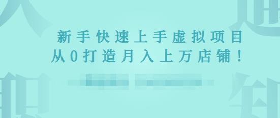 2022年虚拟项目实战指南，新手从0打造月入上万店铺-最全资源库