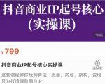 抖音商业IP起号核心实操课,带你玩转算法,流量,内容,架构,变现-最全资源库