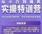 Seven漆·2022Tiktok从小白到精英实操特训营，带你掌握Tiktok账号运营-最全资源库