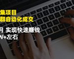 虚拟图集项目:矩阵站群自动化成交,3-5个月实现快速赚钱月入1W+左右-最全资源库