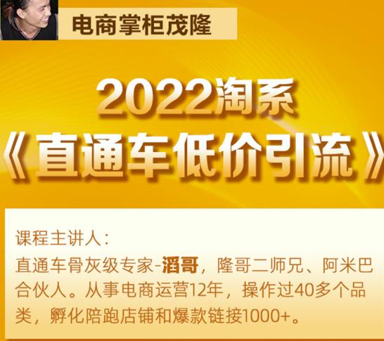 茂隆2022直通车低价引流玩法,教大家如何低投入高回报的直通车玩法-最全资源库