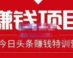 懒人领域·今日头条项目玩法,头条中视频项目,单号收益在50—500可批量-最全资源库