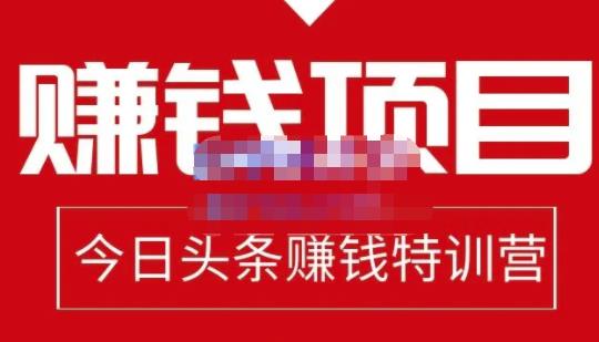 懒人领域·今日头条项目玩法，头条中视频项目，单号收益在50—500可批量-最全资源库