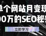 单个网站月变现100万的SEO秘密,百分百做出赚钱站点-最全资源库