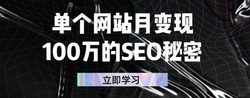 单个网站月变现100万的SEO秘密，百分百做出赚钱站点-最全资源库