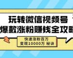 玩转微信视频号爆款涨粉赚钱全攻略，快速涨粉百万变现万元秘诀-最全资源库