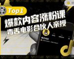 【毒舌电影合伙人亲授】抖音爆款内容涨粉课，5000万抖音大号首次披露涨粉机密-最全资源库